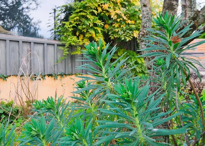 شاليه Le Petit Nailhac